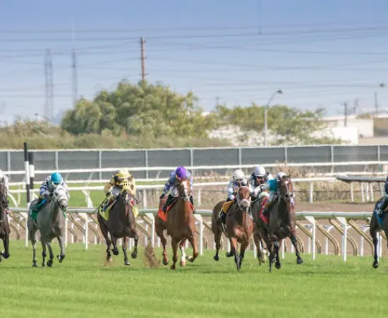 Warrnambool May Racing Carnival
