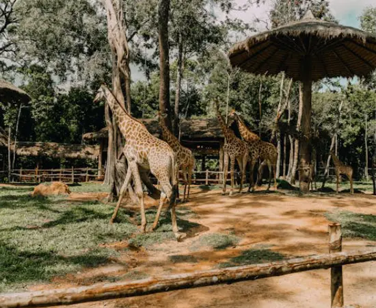 Tower Hill Wildlife Reserve